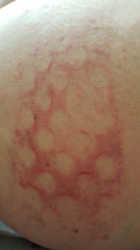 Torquemada Spike Paddle - - Sharpened Steel Spikes for a Lovely Set of Marks